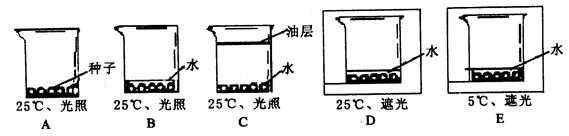 华体会登陆