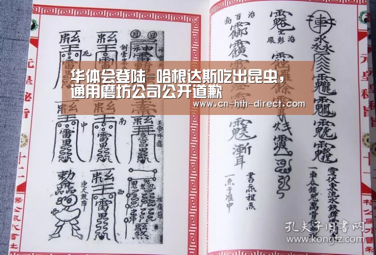 华体会入口