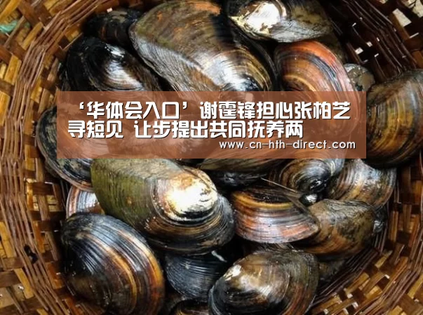 ‘华体会入口’谢霆锋担心张柏芝寻短见 让步提出共同抚养两(图2)