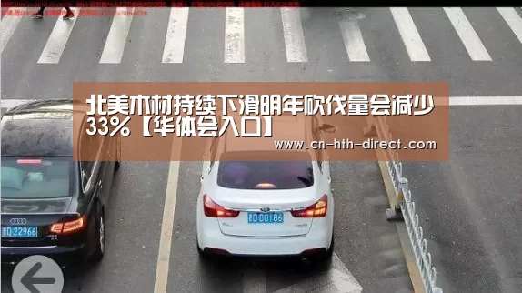 北美木材持续下滑明年砍伐量会减少33%【华体会入口】(图1) 华体会登陆