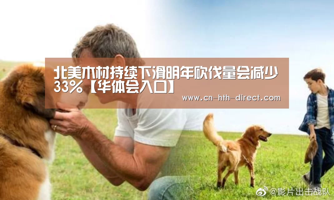 北美木材持续下滑明年砍伐量会减少33%【华体会入口】(图3) 北美木材持续下滑明年砍伐量会减少33%【华体会入口】(图3)