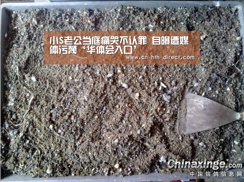 华体会入口