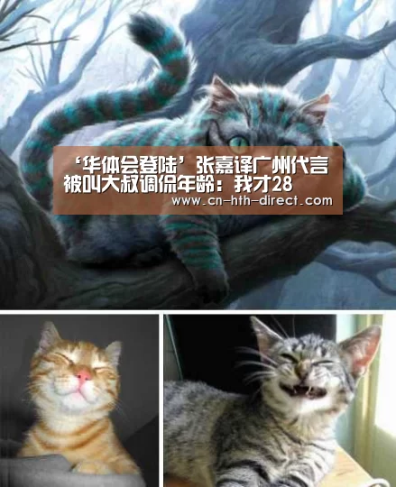 华体会登陆