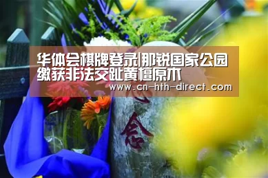 华体会登陆